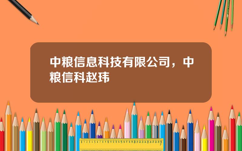 中粮信息科技有限公司，中粮信科赵玮