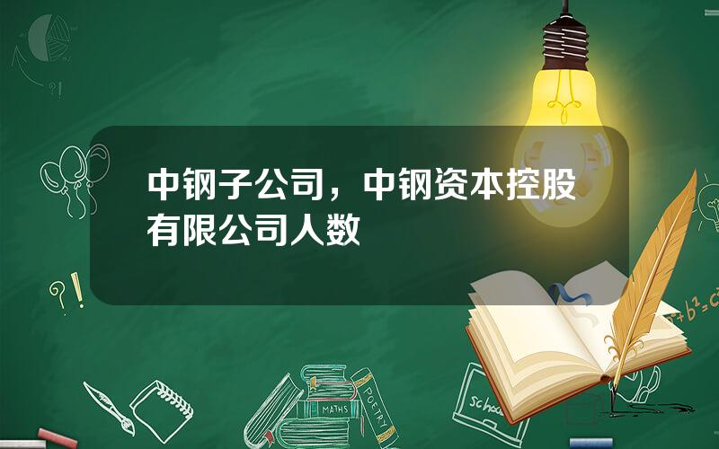 中钢子公司，中钢资本控股有限公司人数