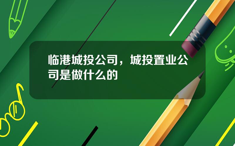 临港城投公司，城投置业公司是做什么的