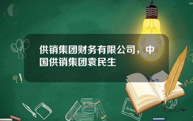 供销集团财务有限公司，中国供销集团袁民生