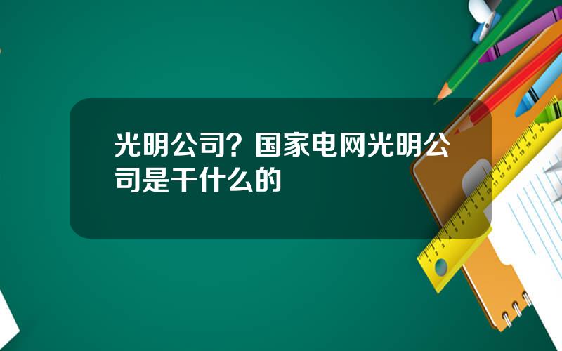 光明公司？国家电网光明公司是干什么的