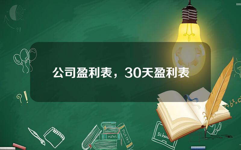 公司盈利表，30天盈利表