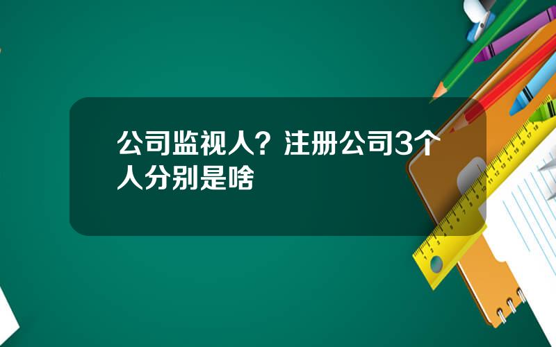 公司监视人？注册公司3个人分别是啥