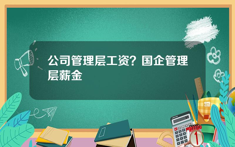 公司管理层工资？国企管理层薪金