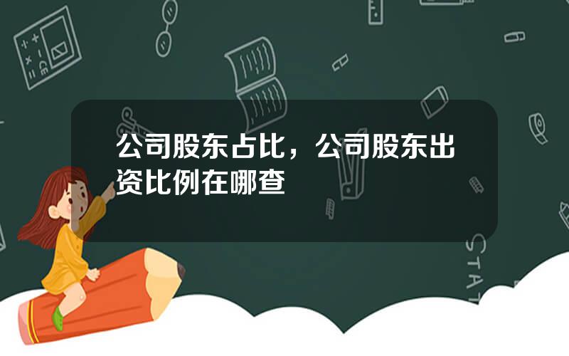 公司股东占比，公司股东出资比例在哪查