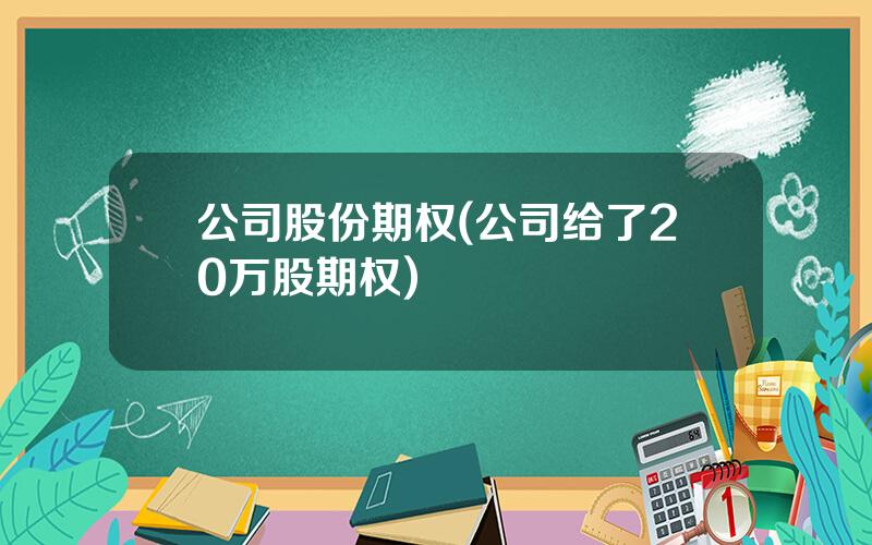 公司股份期权(公司给了20万股期权)