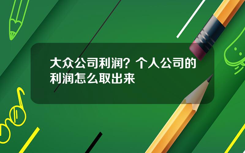 大众公司利润？个人公司的利润怎么取出来