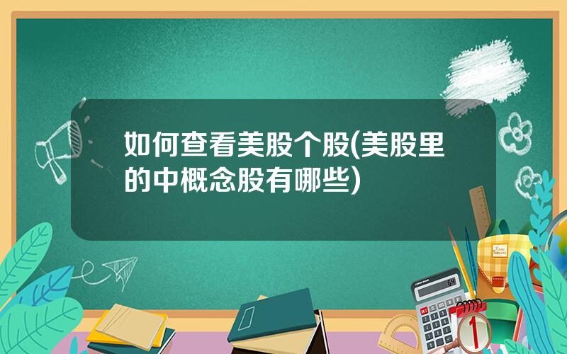 如何查看美股个股(美股里的中概念股有哪些)