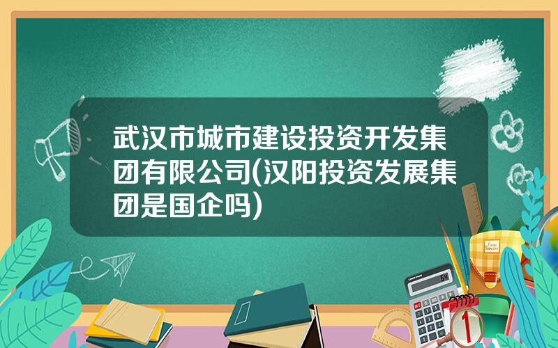 武汉市城市建设投资开发集团有限公司(汉阳投资发展集团是国企吗)