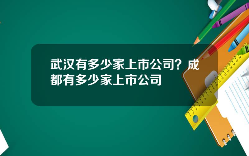 武汉有多少家上市公司？成都有多少家上市公司