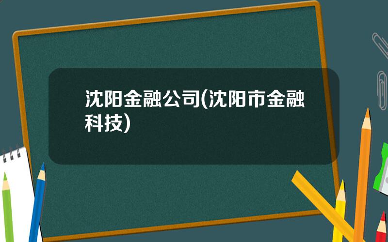 沈阳金融公司(沈阳市金融科技)