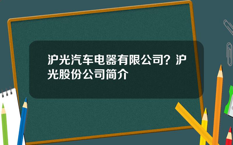 沪光汽车电器有限公司？沪光股份公司简介