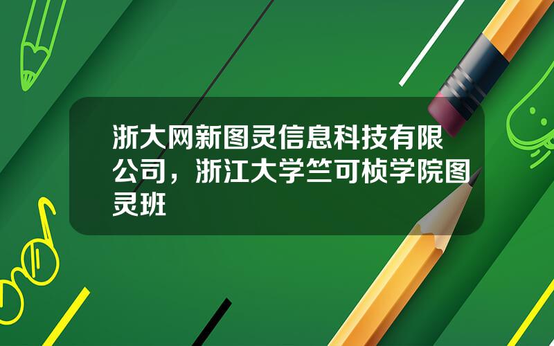 浙大网新图灵信息科技有限公司，浙江大学竺可桢学院图灵班