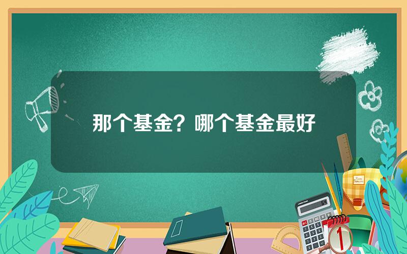 那个基金？哪个基金最好