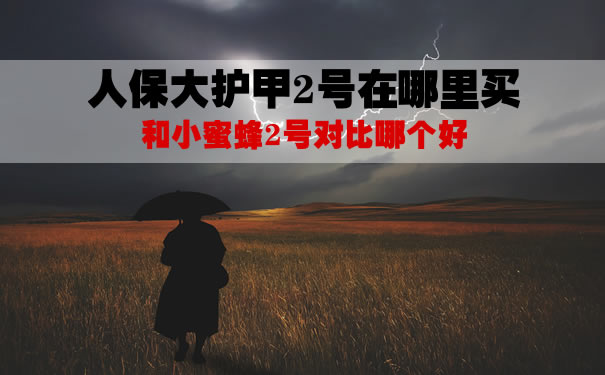 人保大护甲2号在哪里买？和小蜜蜂2号对比哪个好？多少钱_1