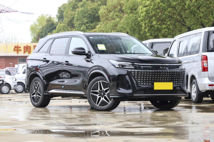 10来万预算买电混SUV，蓝电E5和启辰大V DD-i应该怎么选？